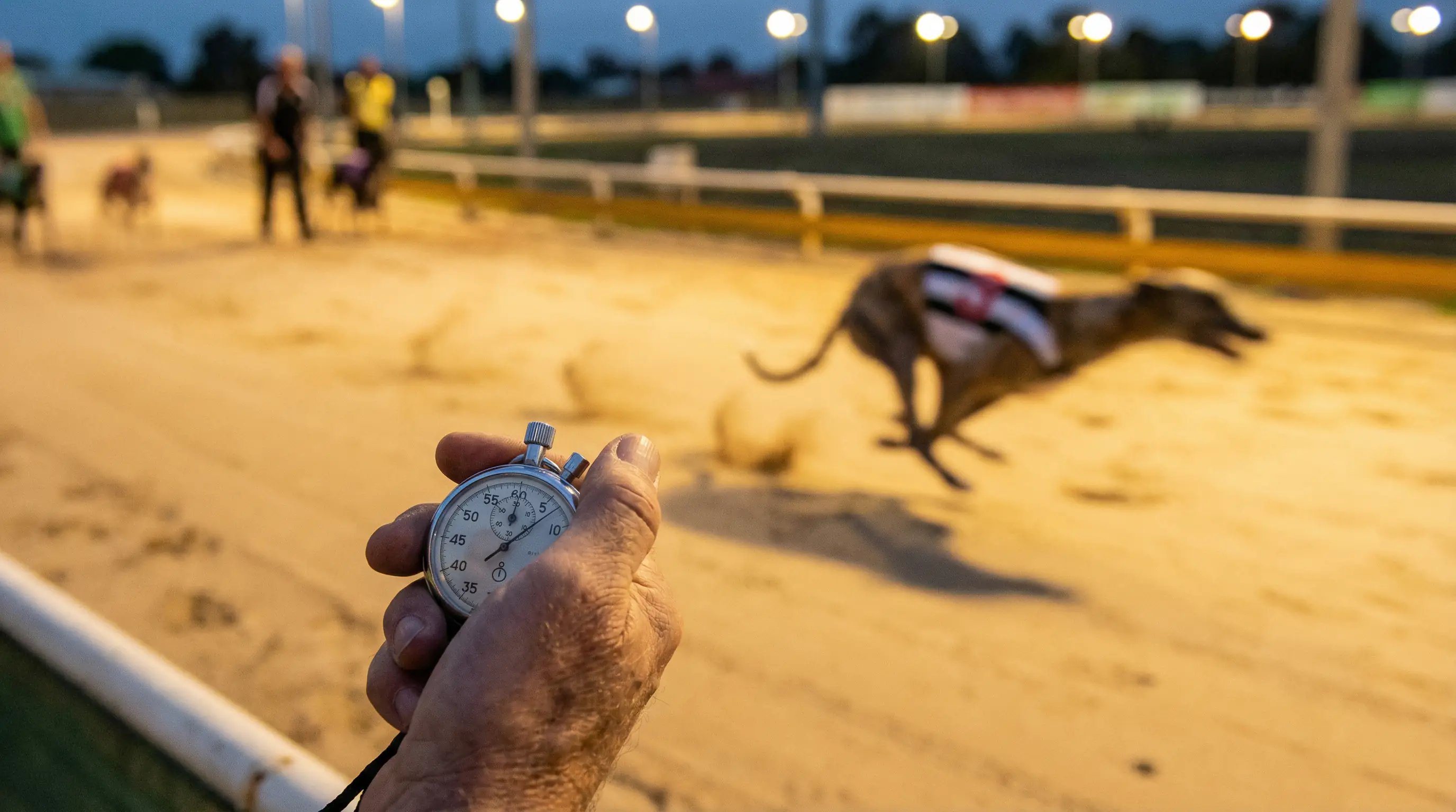 How greyhound sectional times work and what first-bend and finishing splits reveal about form