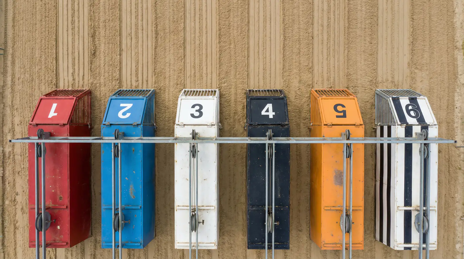 Greyhound trap draw positions explained with inside versus outside trap statistics