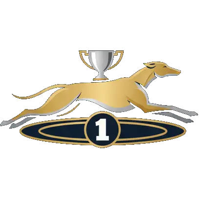 English Greyhound Derby Betting Guide 2026
